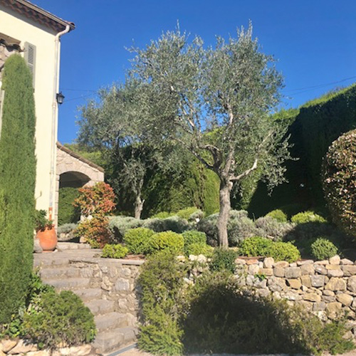 Villa In Mougins Frabce